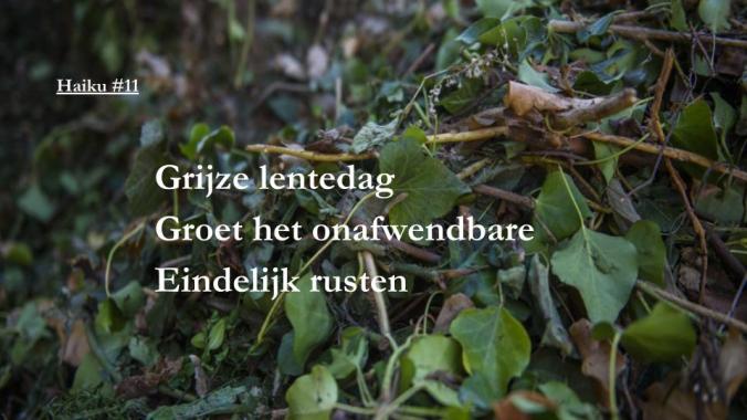 haiku11